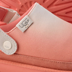 Goldenstar Clog Sunray