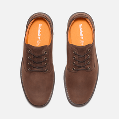 Men's Redwood Falls Waterproof Shoe