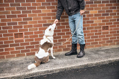 Men's Originals #2528