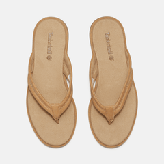 Women's Calista Bay Thong Sandal