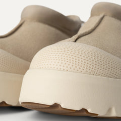 Tasman Weather Hybrid