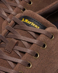 BROOKLINE 6-EYE Bronx Suede Shoes